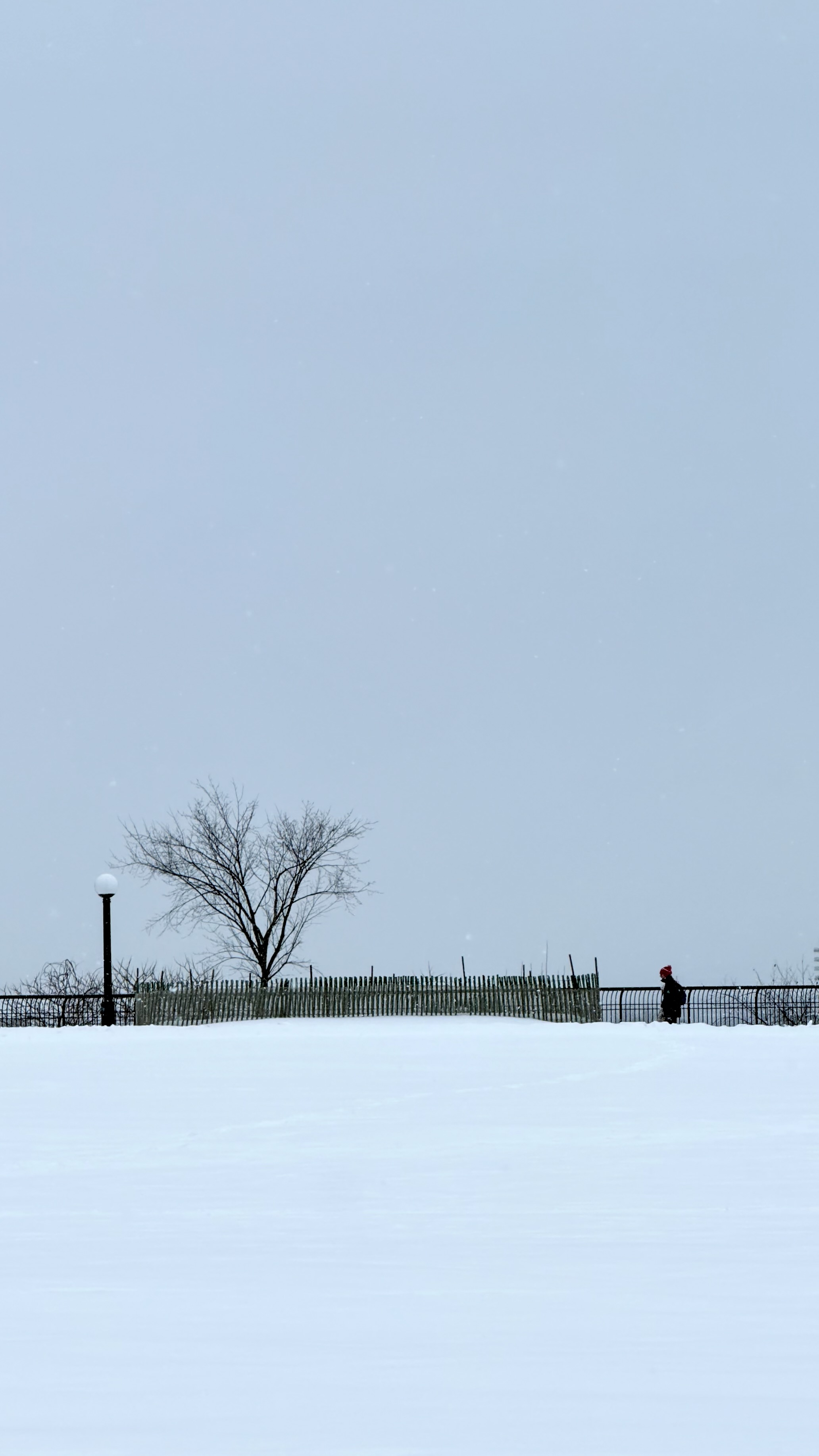 A person in winter clothing walks near a bare tree and a fence in a snowy landscape.