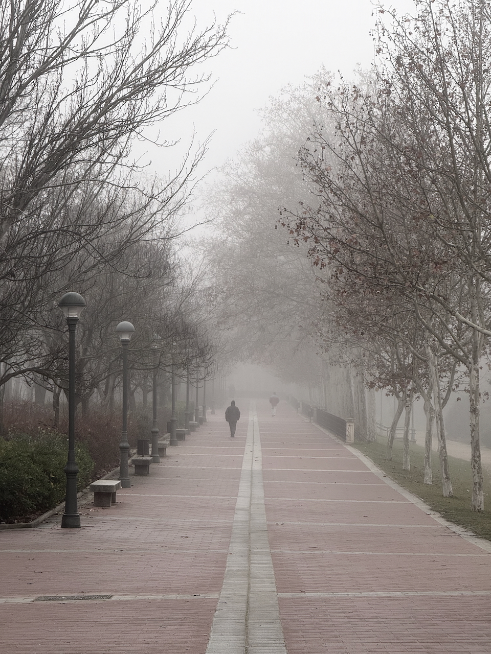 Ribera de Castilla, Valladolid, Castile