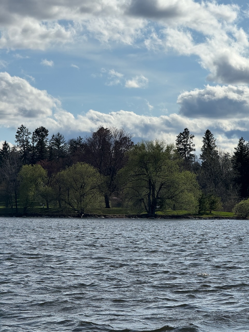 Trees in the Dominion Arboretum have leaves again