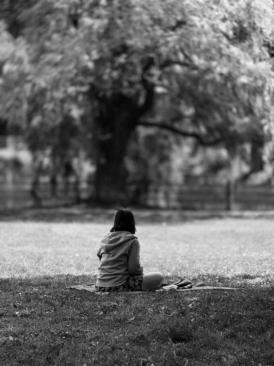A person sitting on the grass, in a park, with a tree in the background