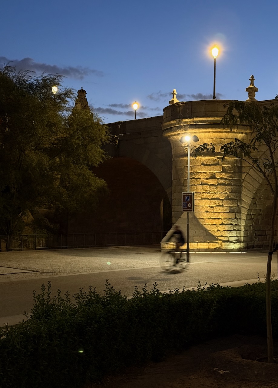 Cyclist under bridge at night, illuminated by streetlights, surrounded by greenery.