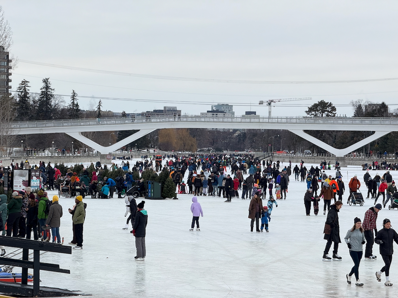 Rideau Canal Skateway